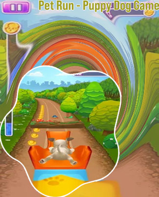 Pet run game